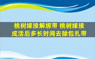 桃树嫁接解绑带 桃树嫁接成活后多长时间去除包扎带